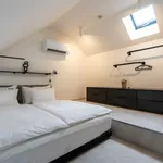 Rent 1 bedroom apartment of 25 m² in Prague