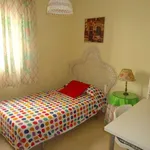 Rent a room in cordoba