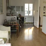 Rent 2 bedroom apartment of 55 m² in Genova