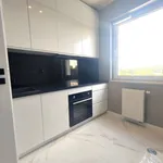 Rent 3 bedroom apartment of 46 m² in Poznań