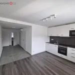 Rent 3 bedroom apartment of 70 m² in Brno