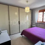 Rent 2 bedroom apartment of 75 m² in Torino