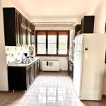 Rent 3 bedroom apartment of 80 m² in Roma