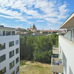 Pronajměte si 3 ložnic/e byt o rozloze 115 m² v Brno