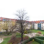 Rent 1 bedroom apartment of 55 m² in berlin