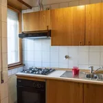 Rent 1 bedroom apartment of 90 m² in rome