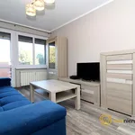 Rent 3 bedroom apartment of 53 m² in Leszno