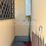 Rent 3 bedroom apartment of 90 m² in Segrate