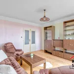 Rent 1 bedroom apartment of 39 m² in Orlová