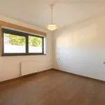 Rent 2 bedroom apartment in Halle