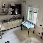 Rent 2 bedroom apartment of 50 m² in Sesto Calende