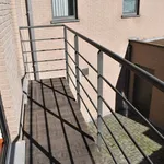 Rent 1 bedroom apartment in Zulte