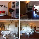 Rent 4 bedroom house of 80 m² in Arzachena