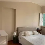 Rent 3 bedroom apartment of 140 m² in Lucca