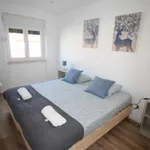 Rent 2 bedroom apartment in Lisbon