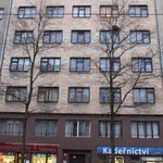 Rent 1 bedroom apartment of 33 m² in Prague