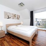 Rent 2 bedroom apartment of 85 m² in Heidelberg