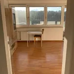 Miete 1 Schlafzimmer wohnung von 3667 m² in Kusel