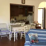 Rent 3 bedroom apartment of 80 m² in Anzio