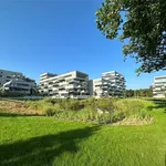 Rent 2 bedroom apartment in EDEGEM