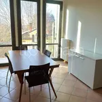 Rent 2 bedroom apartment of 46 m² in Lecco