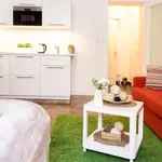 Rent 1 bedroom apartment in Praha 7