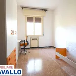 Affitto 3 camera appartamento di 75 m² in Castel Maggiore