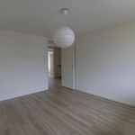 Rent 6 bedroom house of 170 m² in Zeestratenbuurt