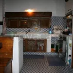 Rent 8 bedroom house of 250 m² in Orbetello