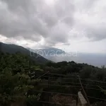 Rent 3 bedroom apartment of 85 m² in Pieve Ligure