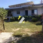 Rent 2 bedroom house of 90 m² in Municipal Unit of Dymi