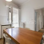 Rent 3 bedroom apartment of 100 m² in Firenze