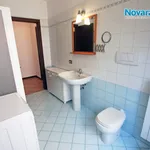 Rent 2 bedroom apartment of 55 m² in Novara