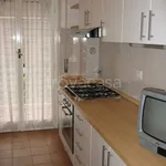 Rent 3 bedroom apartment of 74 m² in Roma