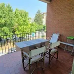 Rent 1 bedroom apartment of 40 m² in Bergamo