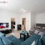 Rent 2 bedroom apartment of 33 m² in Zlín