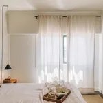 Rent 1 bedroom apartment in Lisbon