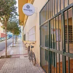 Rent 2 bedroom apartment of 70 m² in Málaga