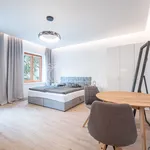 Rent 1 bedroom apartment in Ostrava