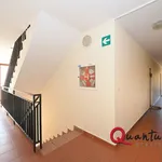 Rent 1 bedroom apartment in Hostivice