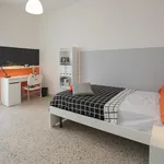 Rent 3 bedroom apartment in Naples