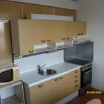 Rent 3 bedroom apartment of 67 m² in Vysoké Mýto