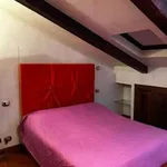 Rent 3 bedroom apartment of 100 m² in Turin