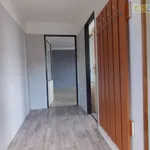 Rent 3 bedroom apartment of 70 m² in Benešov