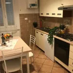 Rent 3 bedroom apartment of 120 m² in florence