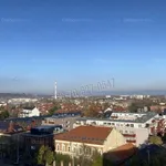 Rent 3 bedroom apartment of 68 m² in Budapest