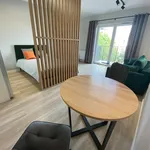 Rent 1 bedroom apartment of 35 m² in Lodz