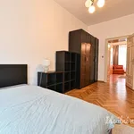 Rent 3 bedroom apartment of 135 m² in Brno