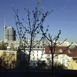 Rent 2 bedroom apartment of 52 m² in Munich