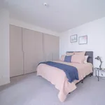 Rent 1 bedroom apartment in Auckland